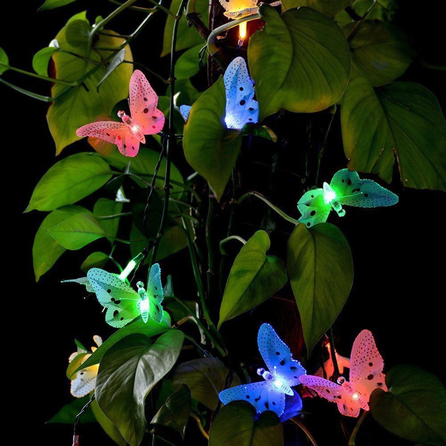 Butterfly Solar String Lights Outdoor, Waterproof Decorative Lighting for Patio Garden Yard Party Wedding